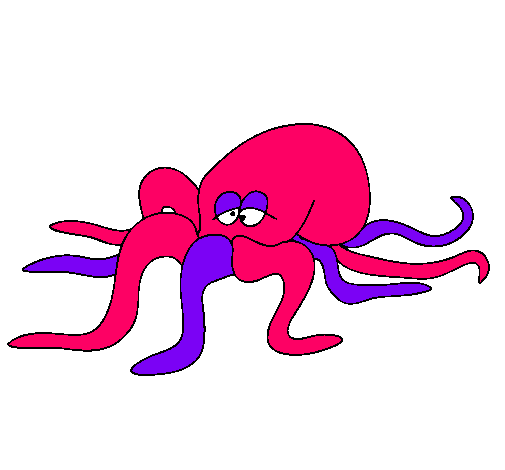 Pulpo