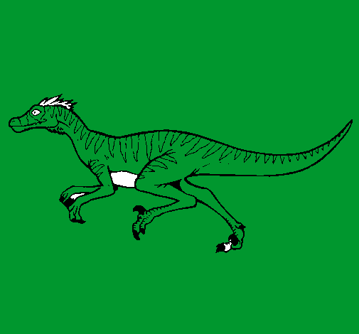 Velociraptor