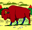 Dibujo Búfalo  pintado por javierdiaz