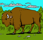 Dibujo Búfalo  pintado por toni