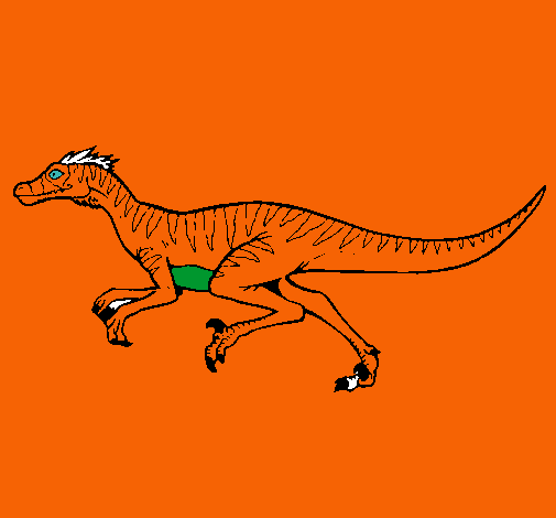 Velociraptor