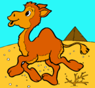 Dibujo Camello pintado por javiera