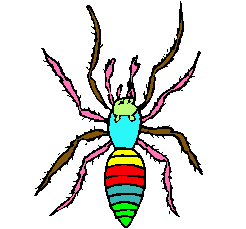 Araña tigre