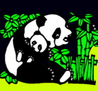 Dibujo Mama panda pintado por PABLO