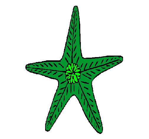 Estrella de mar