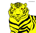 Dibujo Tigre pintado por PONY