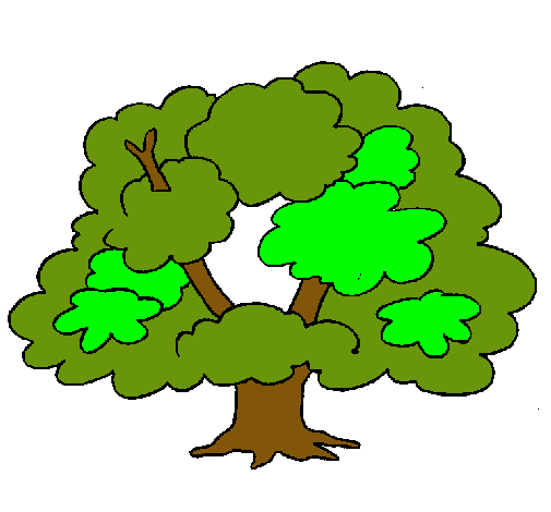 Árbol