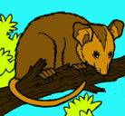 Dibujo Ardilla possum pintado por carito