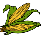 Dibujo Mazorca de maíz pintado por KiqueVenegas
