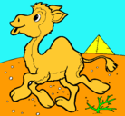 Dibujo Camello pintado por ivonnemilen