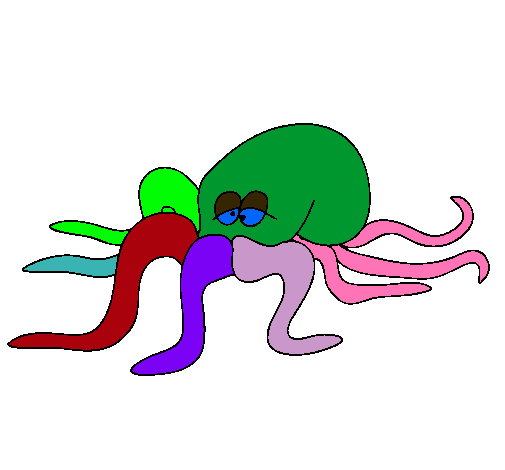 Pulpo