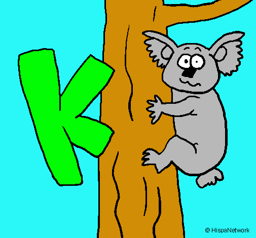 Koala