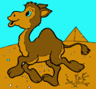 Dibujo Camello pintado por bastian