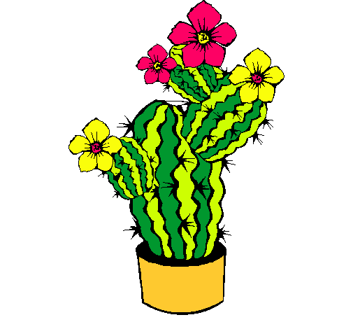 Flores de cactus