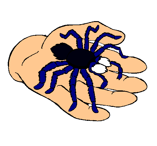 Tarántula