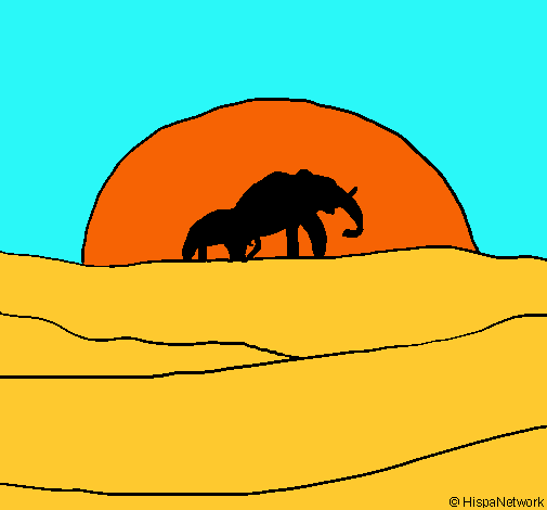 Elefante en el amanecer