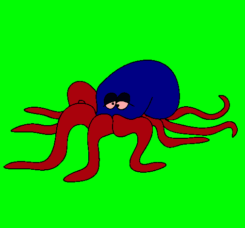 Pulpo