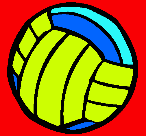 Pelota de voleibol