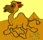 Dibujo Camello pintado por FABIAN