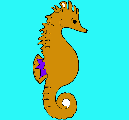 Caballito de mar