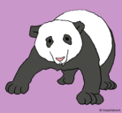 Dibujo Oso panda pintado por fran