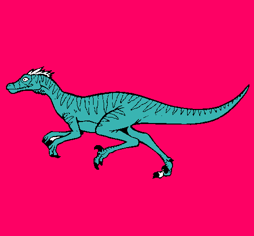 Velociraptor