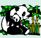 Dibujo Mama panda pintado por Paula