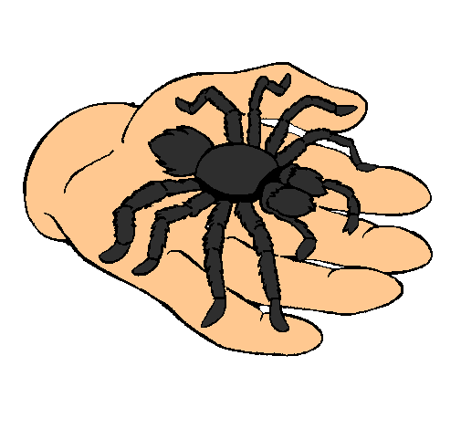 Tarántula