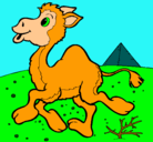 Dibujo Camello pintado por nahirymoncerrat