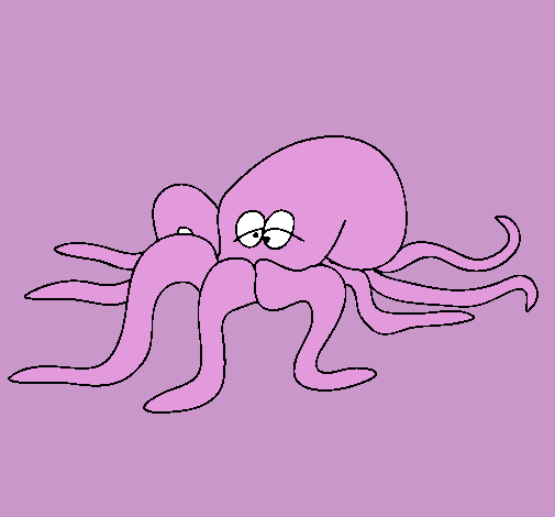 Pulpo