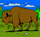 Dibujo Búfalo  pintado por myriam