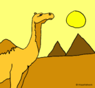 Dibujo Camello pintado por jasmin