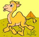 Dibujo Camello pintado por deayde