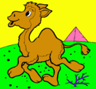 Dibujo Camello pintado por anamariaosorio