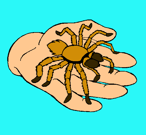 Tarántula