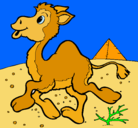 Dibujo Camello pintado por YEISSER