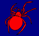 Dibujo Araña venenosa pintado por tito