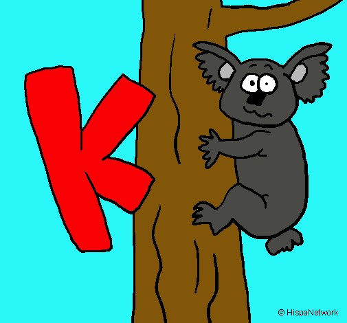 Koala