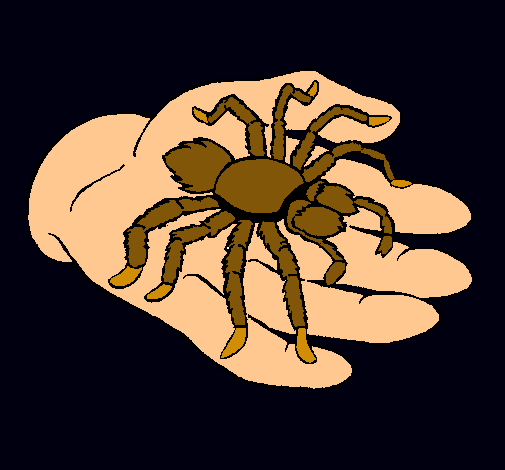 Tarántula