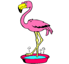 Dibujo Flamenco con los pies en remojo pintado por flamingo