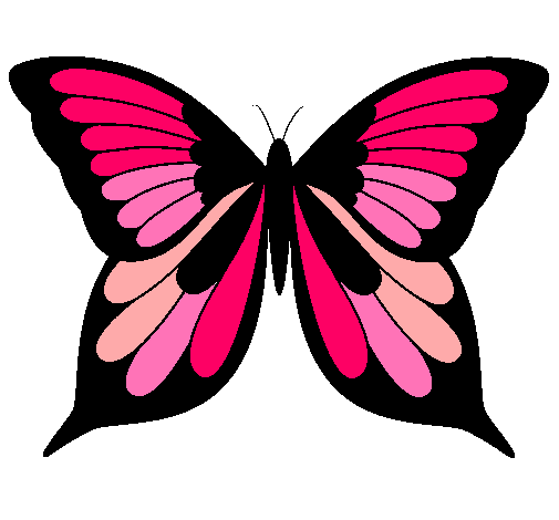 Mariposa