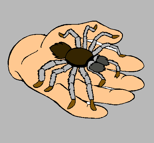 Tarántula