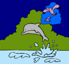 Dibujo Delfín y gaviota pintado por dianasalasruiz76.7