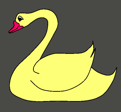 Cisne