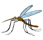 Dibujo Mosquito pintado por dennis