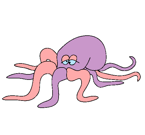 Pulpo