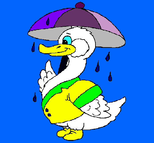 Pato bajo la lluvia