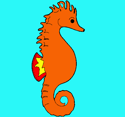 Caballito de mar