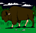 Dibujo Búfalo  pintado por rubn