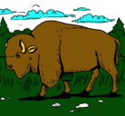 Dibujo Búfalo  pintado por lunayestela